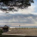Апартаменты Seafront D'olivo Al Mare Линьяно-Саббьядоро
