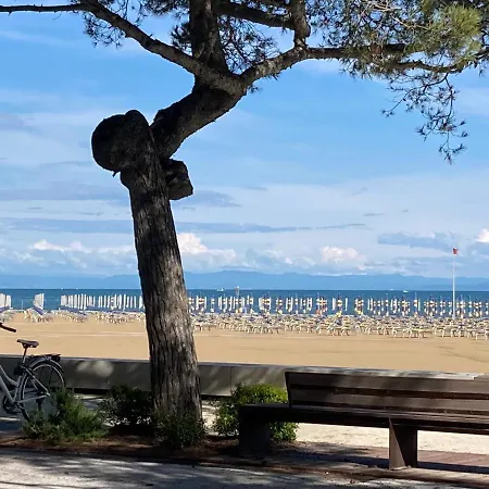 Seafront D'olivo Al Mare Apartment *